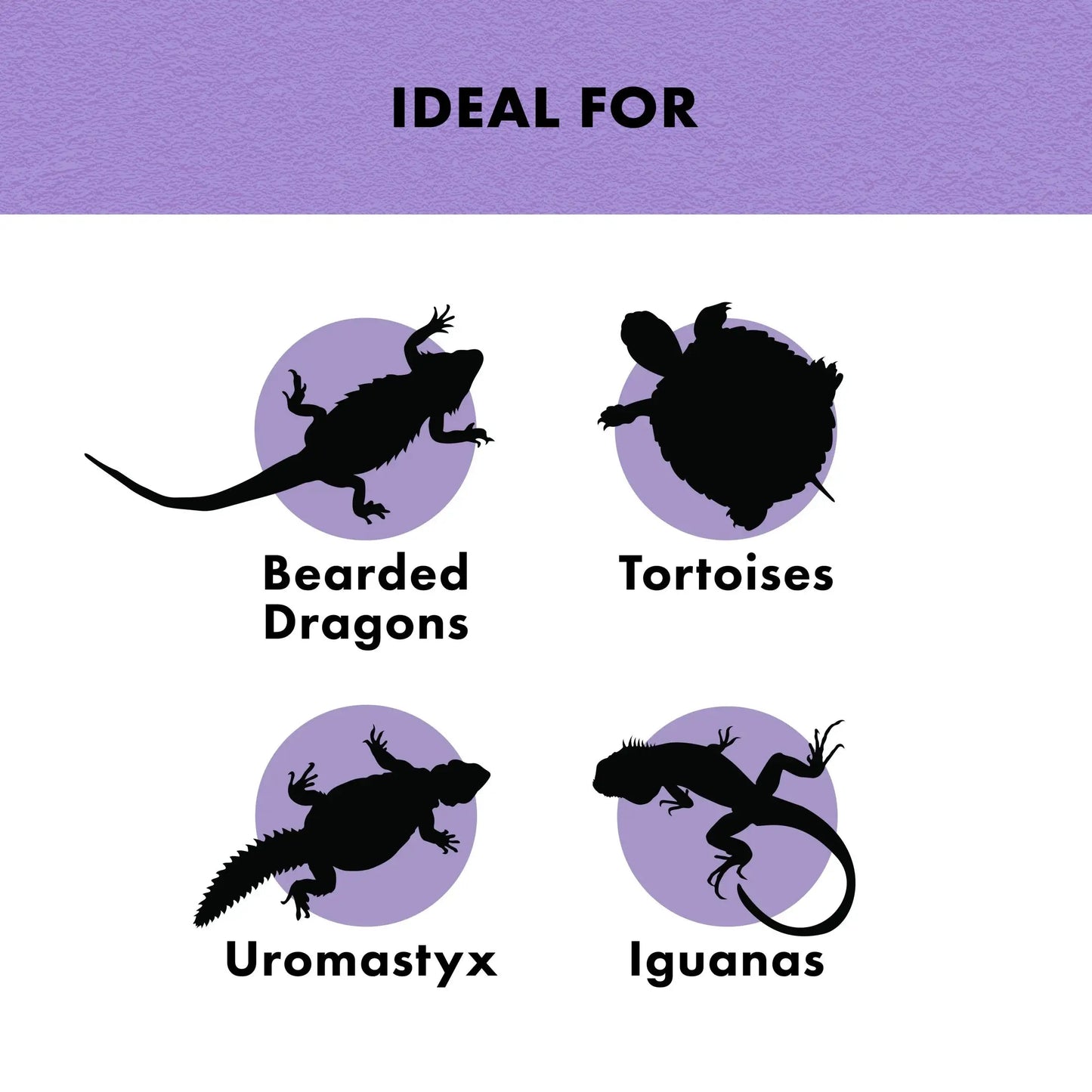 Zilla Reptile Munchies Vegetable Mix | Bearded Dragon Iguana Tortoise Food Treat