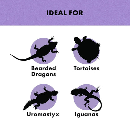 Zilla Reptile Munchies Vegetable Mix | Bearded Dragon Iguana Tortoise Food Treat