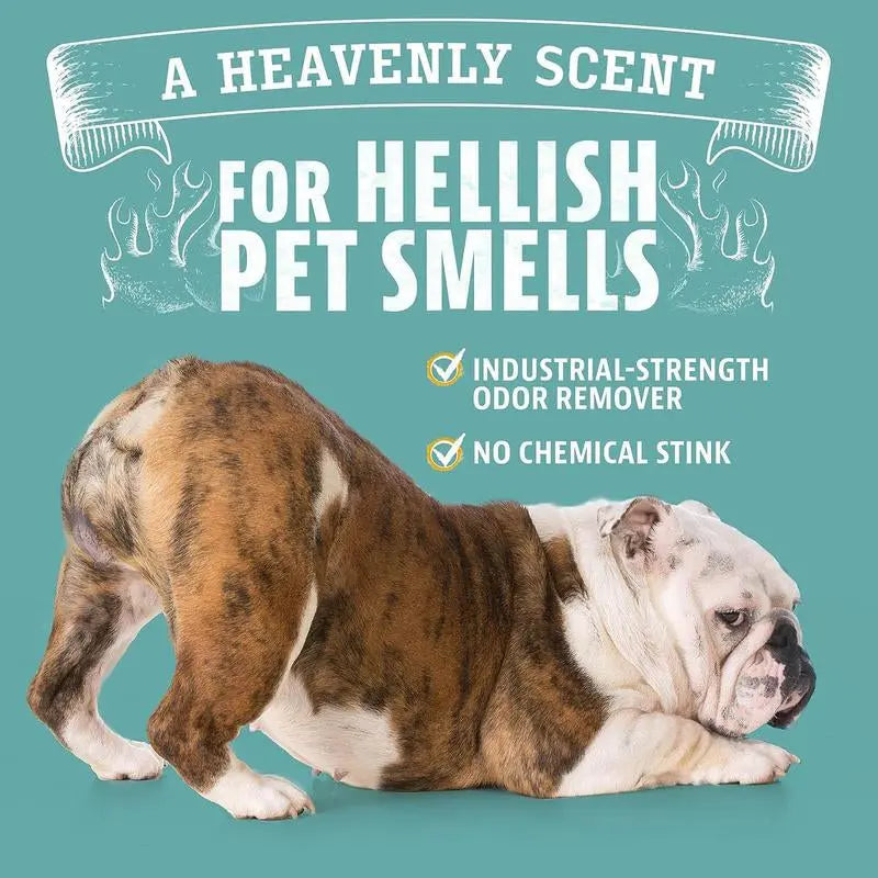 Angry Orange Pet Odor Eliminator Spray – Citrus Dog & Cat Urine Odor Remover
