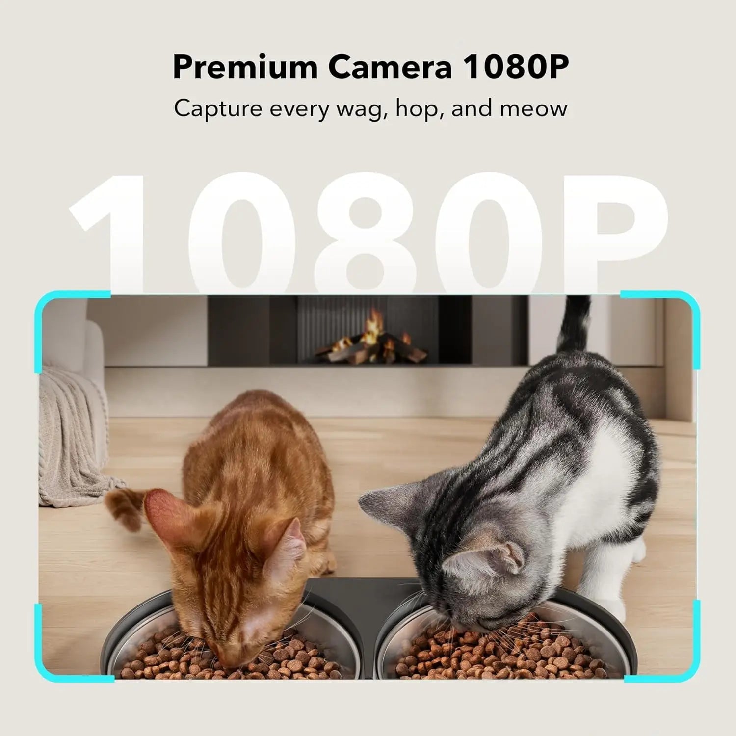 5L Smart Feeder: Auto Cat Feeder with Camera & 2-Way Audio