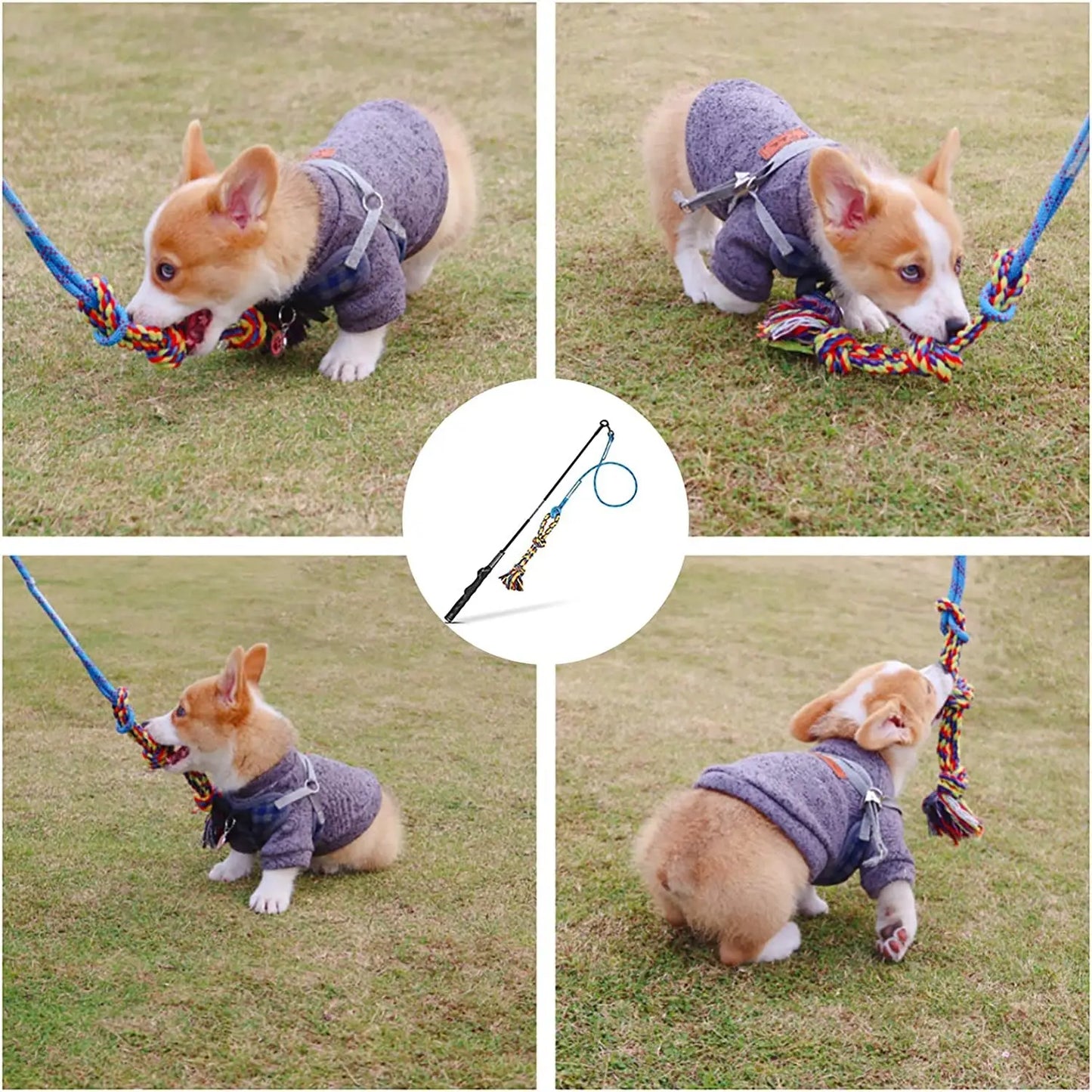 Flirt Pole Dog Toy Interactive Chase & Tug Training Wand for Small Medium Large Dogs