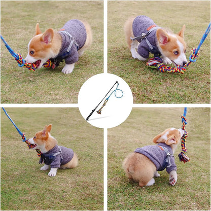 Flirt Pole Dog Toy Interactive Chase & Tug Training Wand for Small Medium Large Dogs