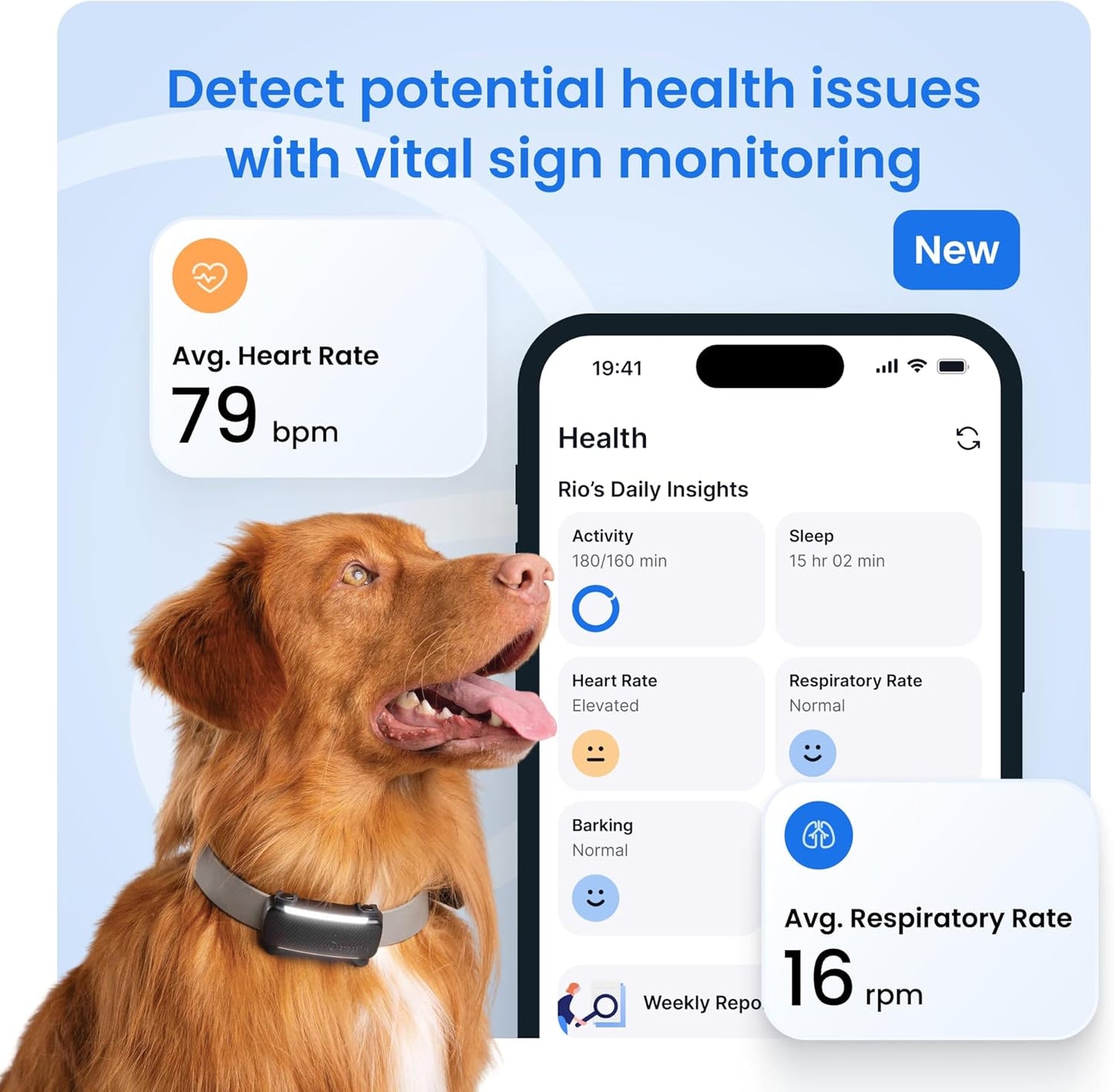 Smart Dog GPS Tracker Bundle Live Tracking Virtual Fence Health Monitor