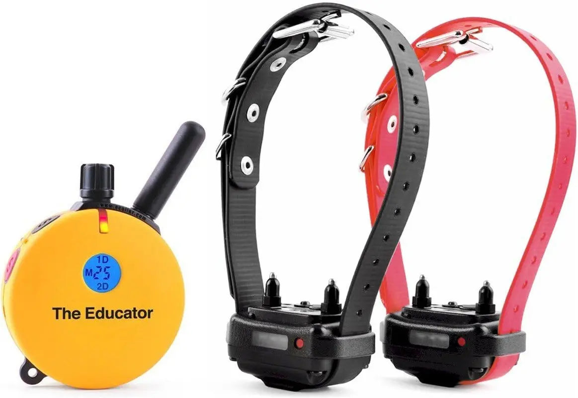 E-Collar Humane Dog Training Collar with Remote, 100 Safe Tapping Stimulation Levels, Night Light, Waterproof, Rechargeable, 1 Mile 2 Large Dogs, Orange Yellow 3 4 Mile 2 Dog Small-Medium Dog