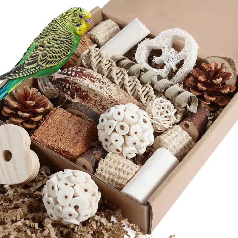 Natural Bird Foraging & Foot Toys | Enrichment Toys for Small to Medium Birds