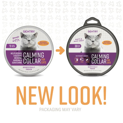 Kitten & Cat Calming Collar – 30 Day Relaxation for Anxiety, Travel & Loud Noise
