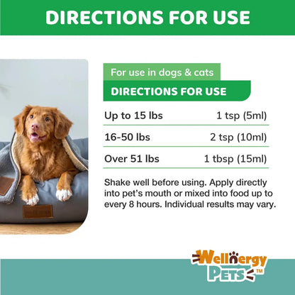 Anti-Diarrhea for Dogs & Cats – 4 oz | Fast Relief for Upset Stomach, Gas & Loose Stool