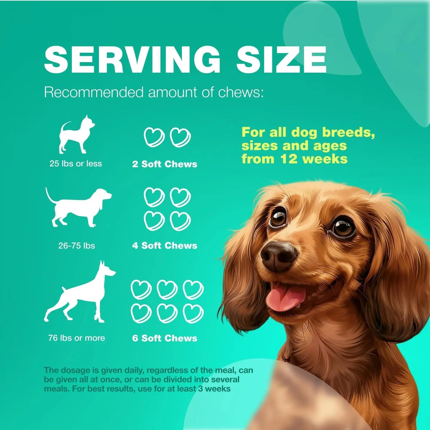 Dog Probiotics Chews with Digestive Enzymes – Gut Health, Immunity & Allergy Support