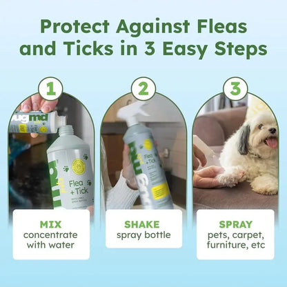 BugMD Flea & Tick Control 2 Pack | Plant-Based Concentrate for Pets & Home