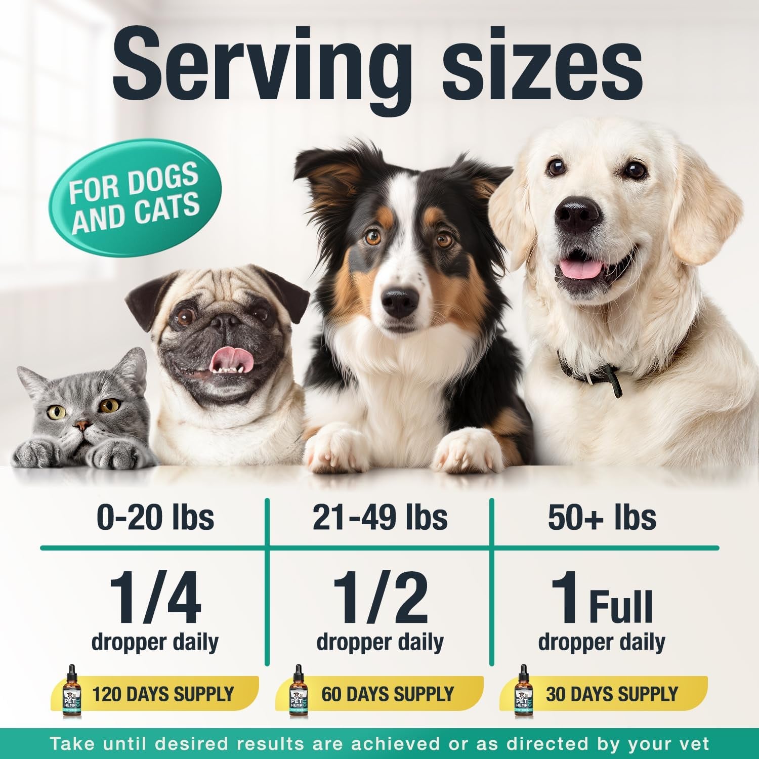 Charlie & Buddy Hemp Oil for Dogs & Cats, Calming & Joint Support