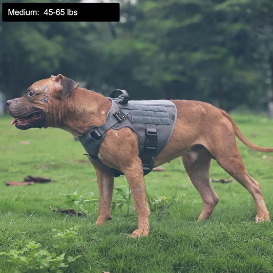 No-Pull Tactical Dog Harness with Handle – 2X Metal Buckles, Adjustable Vest with Hook & Loop Panels (All Sizes)