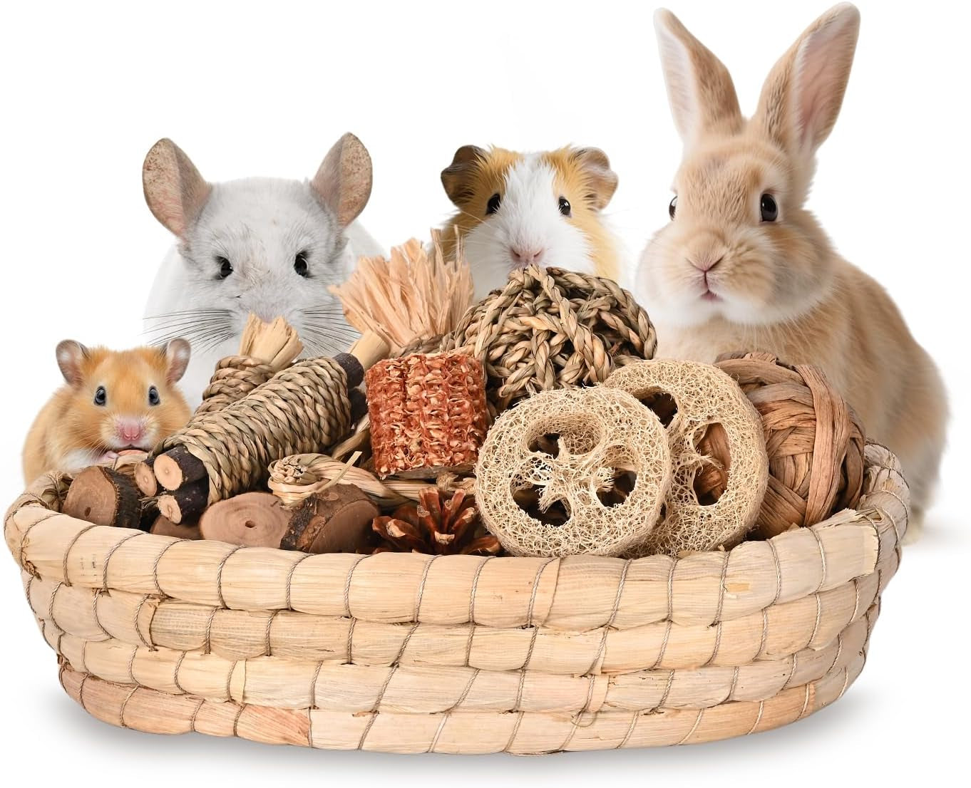 Rabbit Chew Toys 31PCS Natural Small Pet Toys Teeth Grinding Set Chew Toys Set A