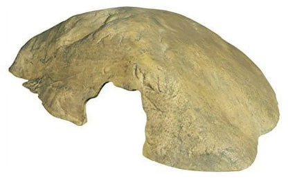 Exo Terra Reptile Cave Medium | Natural Terrarium Hide for Lizards Snakes Frogs Pt2931 Hiding Cave Medium