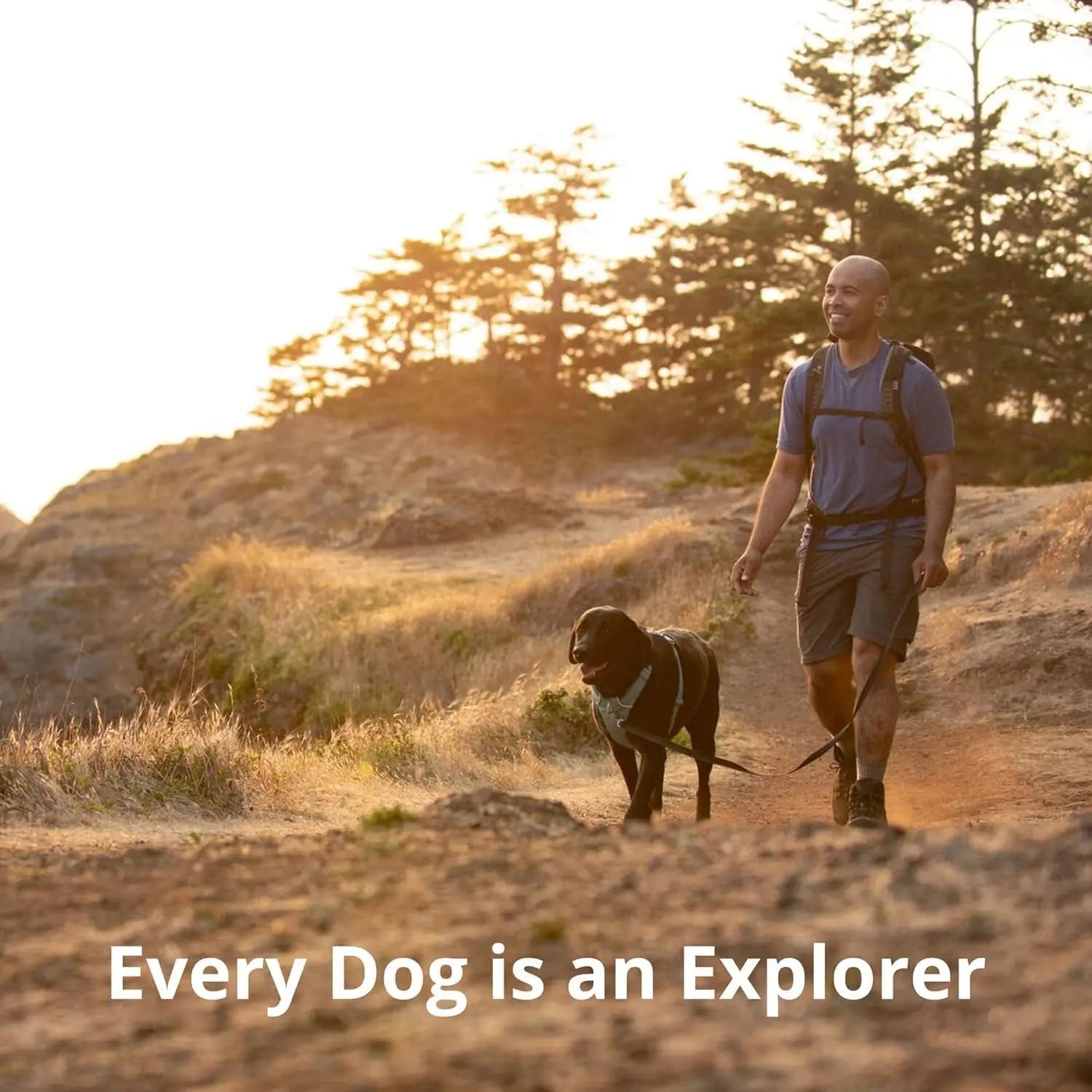 Reflective Lightweight Dog Harness for All Dogs - Padded & Adjustable for Walking, Training & Everyday Use