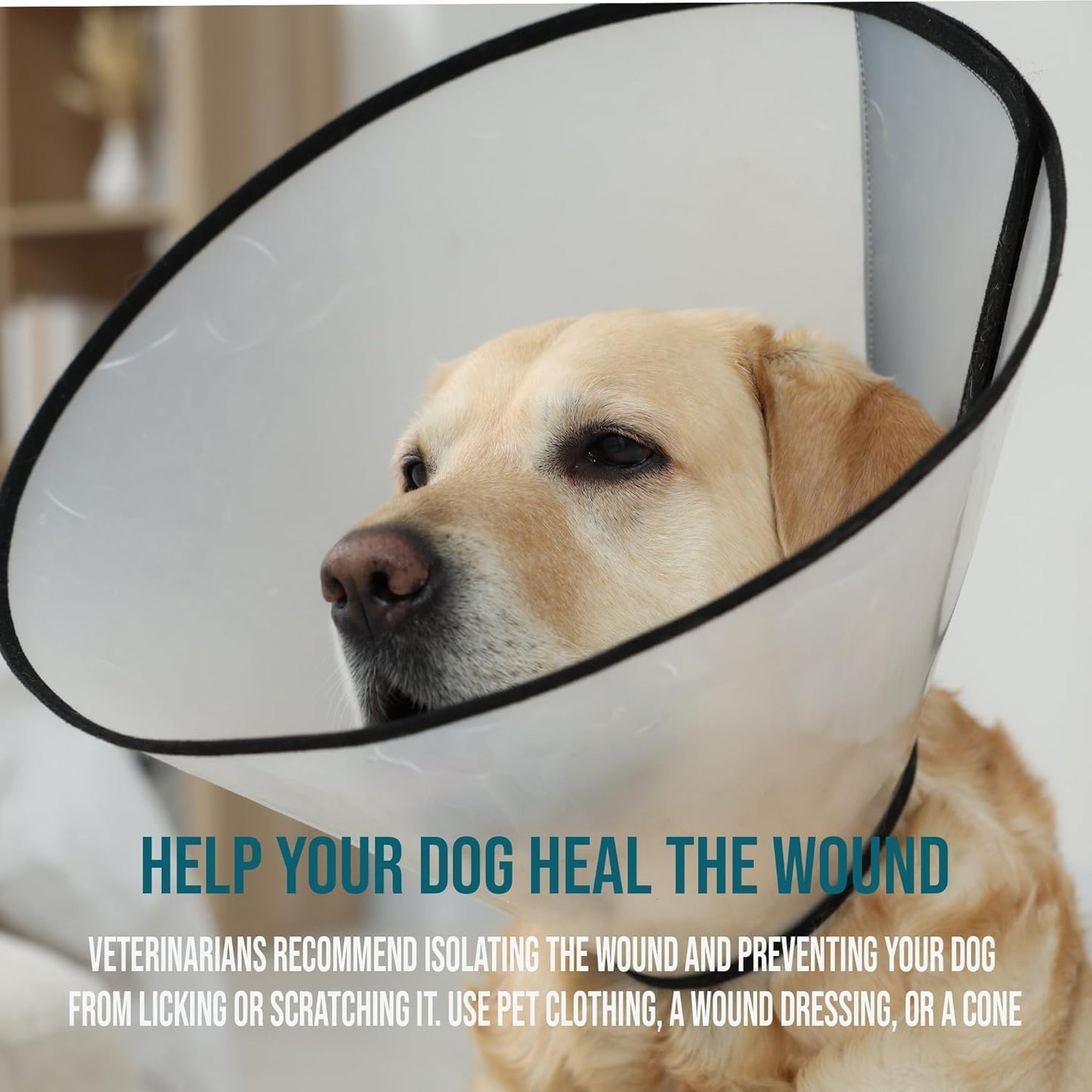 Forticept Blue Butter Hot Spot Gel for Dogs & Cats, Veterinary Skin Care 4 oz