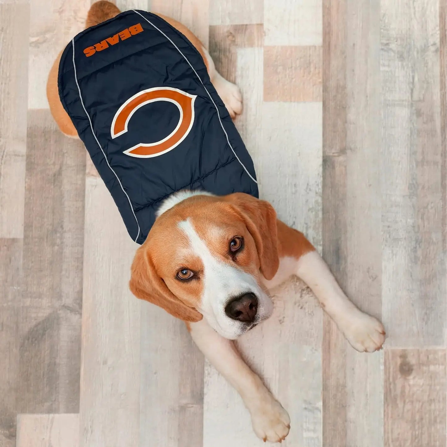 Official NFL Dog & Cat Puffer Vest (All Teams) – Waterproof & Warm Winter Coat sizes (S,M,L,XL)