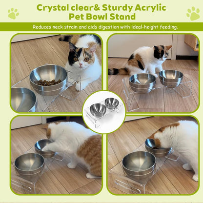 Acrylic Elevated Pet Bowls with Stand, Stainless Steel Feeder for Cats & Dogs