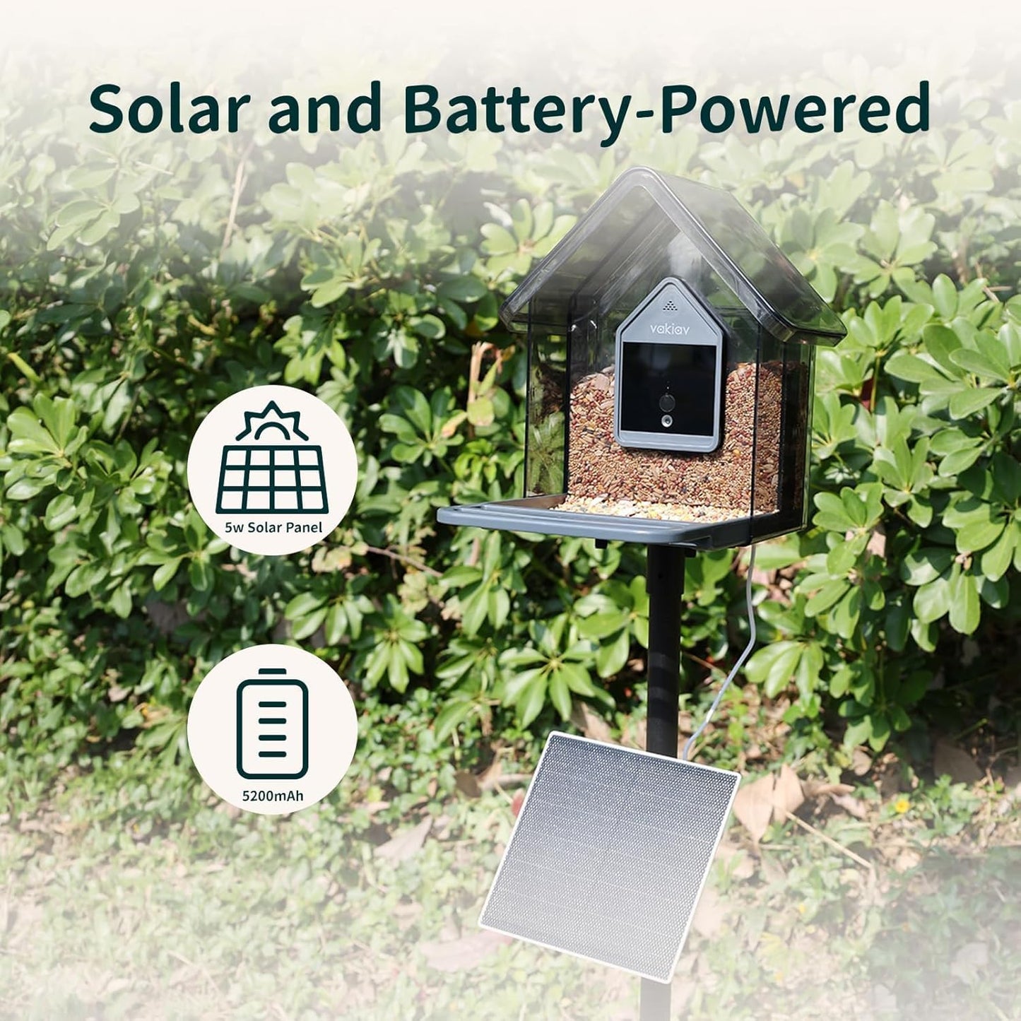 Smart Bird Feeder with Camera, 2K HD, Solar Power & AI Bird ID