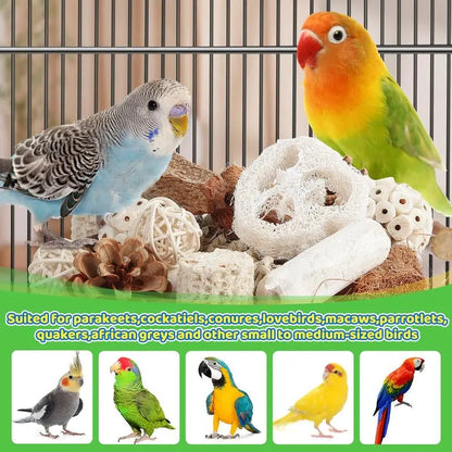 Natural Bird Foraging & Foot Toys | Enrichment Toys for Small to Medium Birds