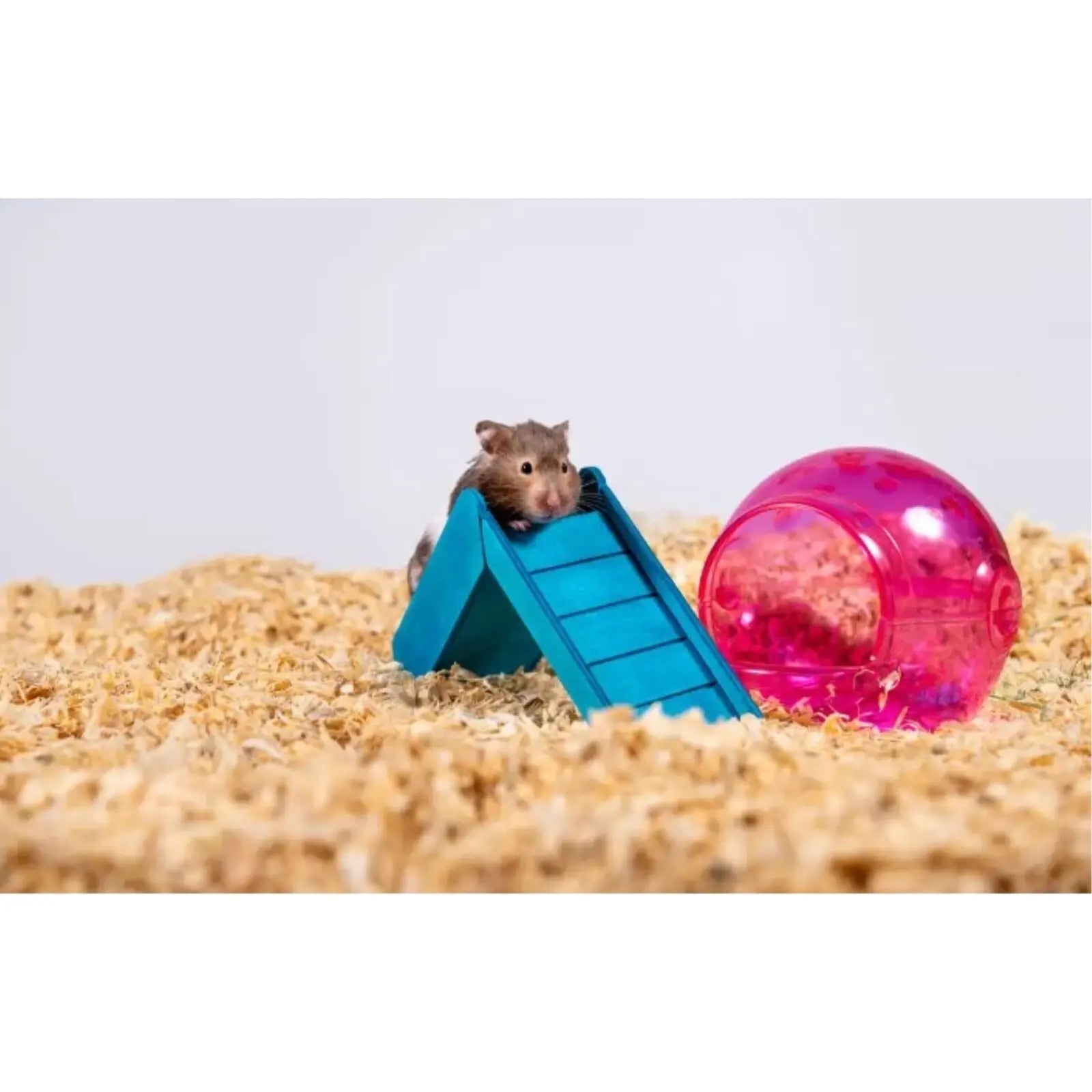 Pine Bedding for Small Pets | Kiln-Dried Soft Pine Pet Bedding 41L