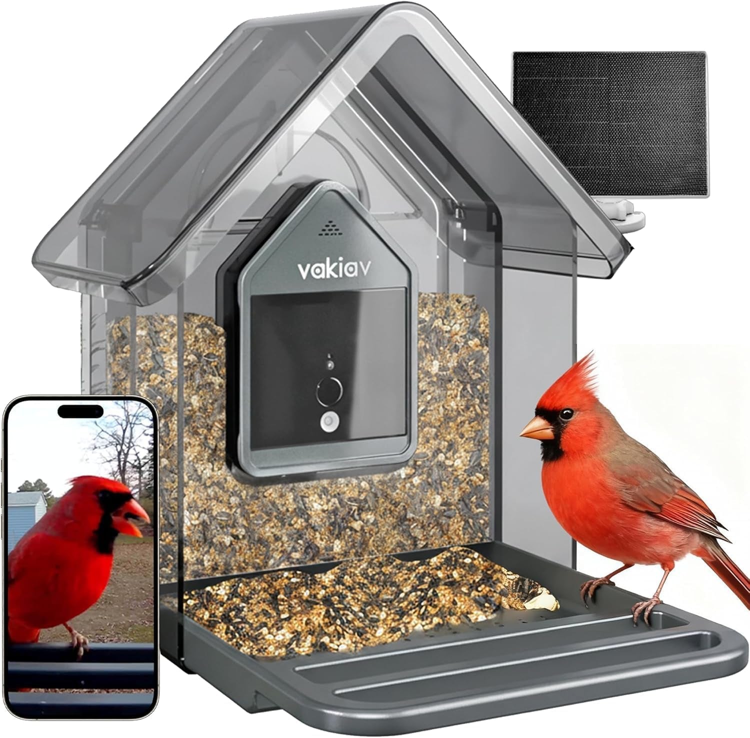 Smart Bird Feeder with Camera, 2K HD, Solar Power & AI Bird ID