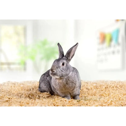 Pine Bedding for Small Pets | Kiln-Dried Soft Pine Pet Bedding 41L