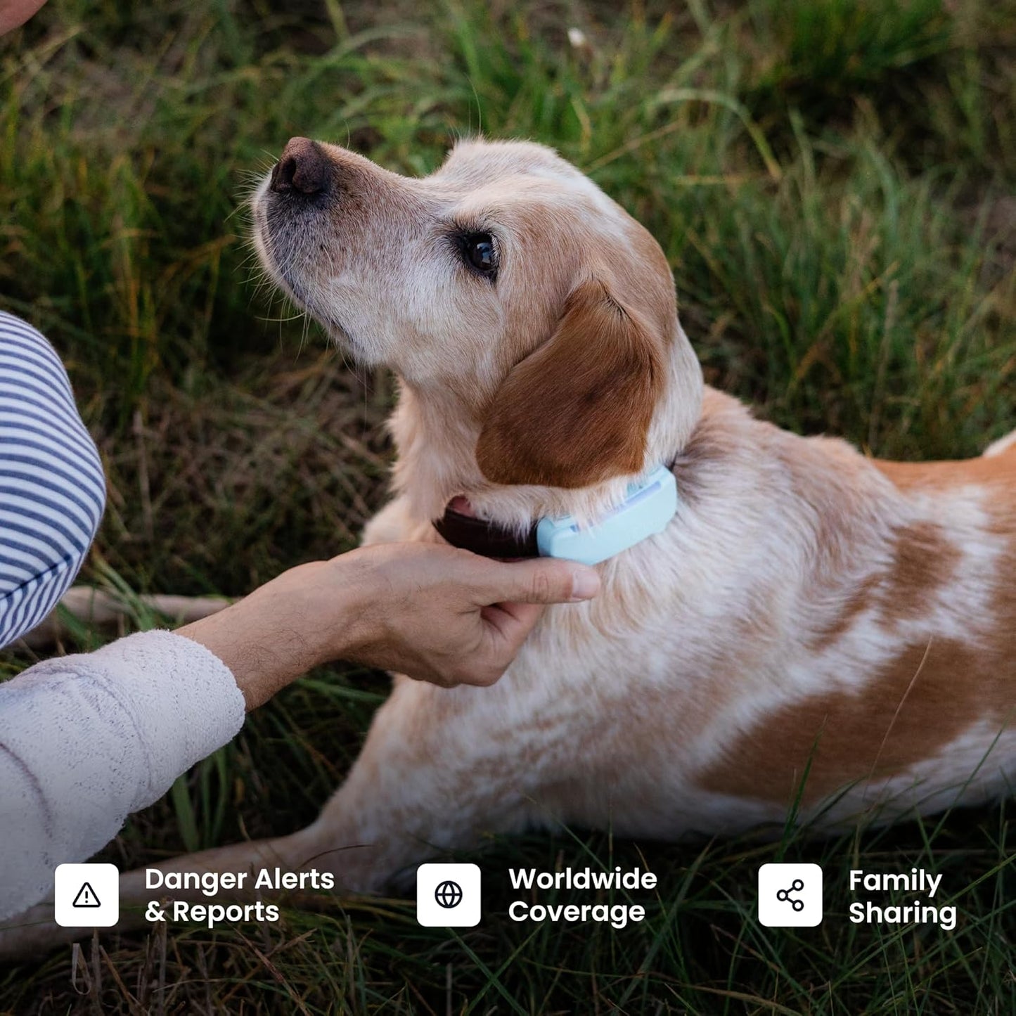 Smart Dog GPS Tracker Bundle Live Tracking Virtual Fence Health Monitor