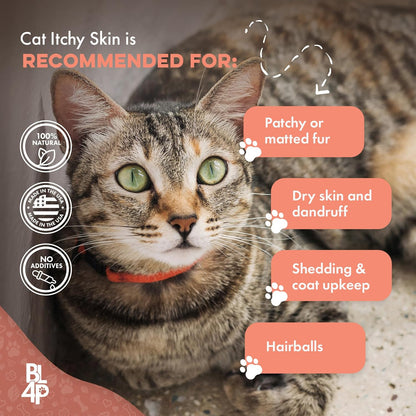 Cat Itchy Skin & Coat Support Supplement for Dry Skin, Shedding & Dandruff