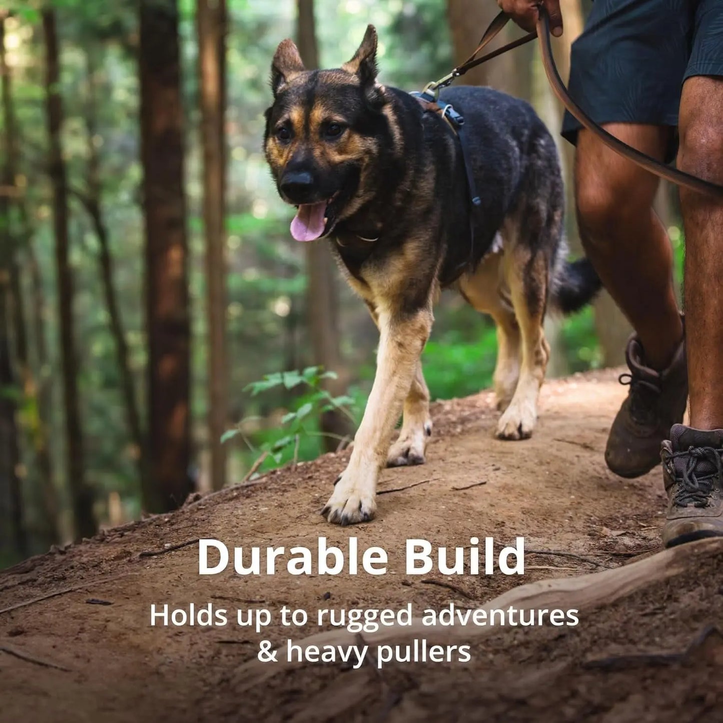 Reflective Lightweight Dog Harness for All Dogs - Padded & Adjustable for Walking, Training & Everyday Use