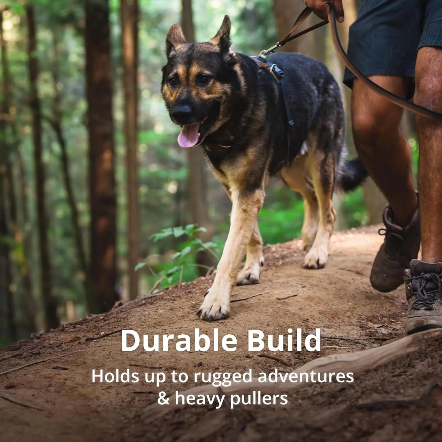 Reflective Lightweight Dog Harness for All Dogs - Padded & Adjustable for Walking, Training & Everyday Use