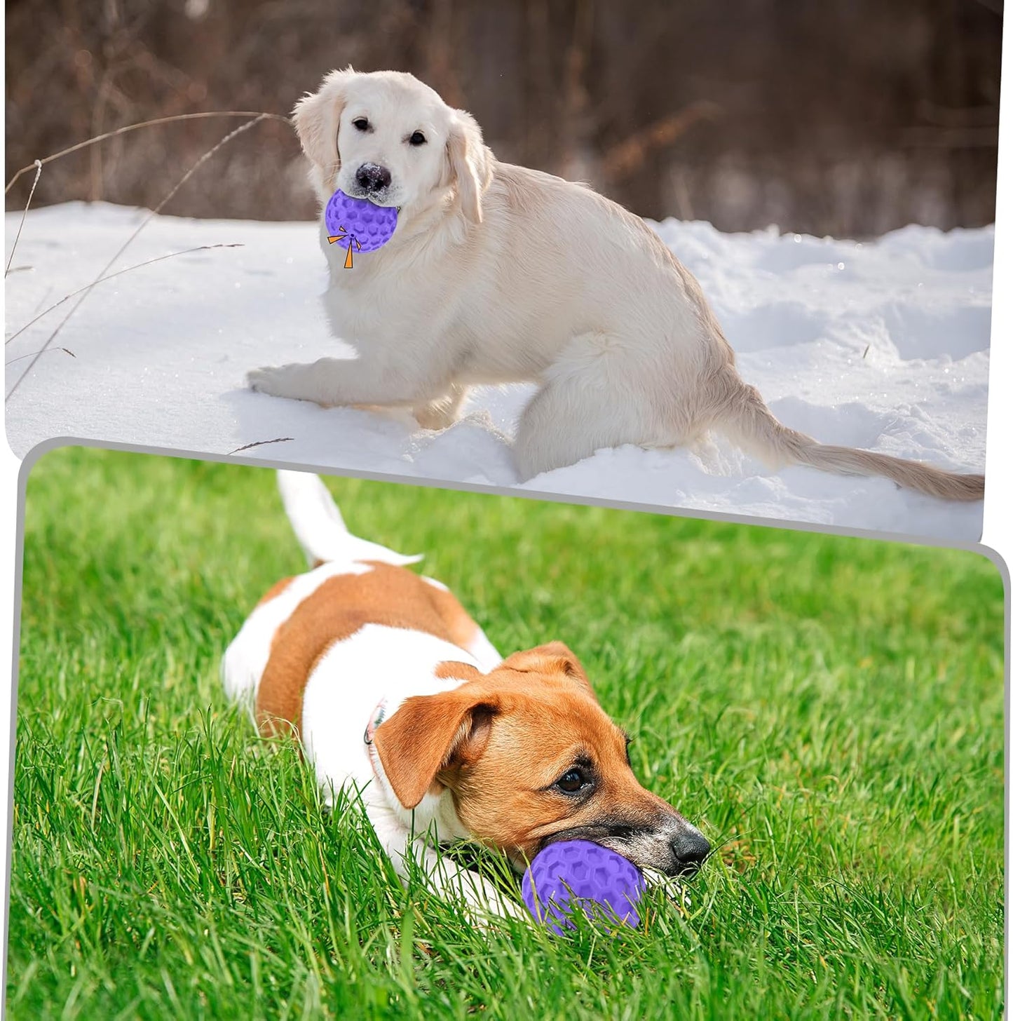 Squeaky Rubber Dog Ball for Aggressive Chewers, Floating Interactive Toy