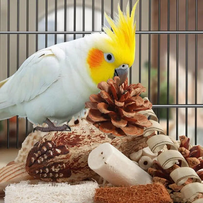 Natural Bird Foraging & Foot Toys | Enrichment Toys for Small to Medium Birds